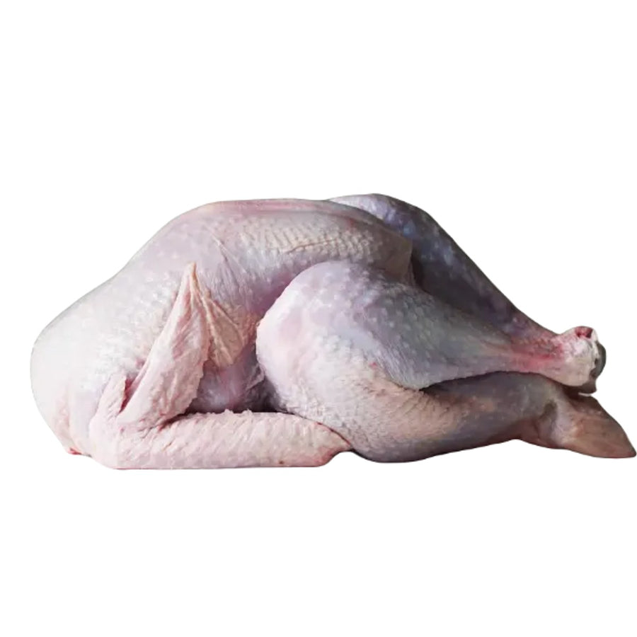 The Benefits of Frozen Turkey Carcase Mince for Your Dog’s Raw Diet