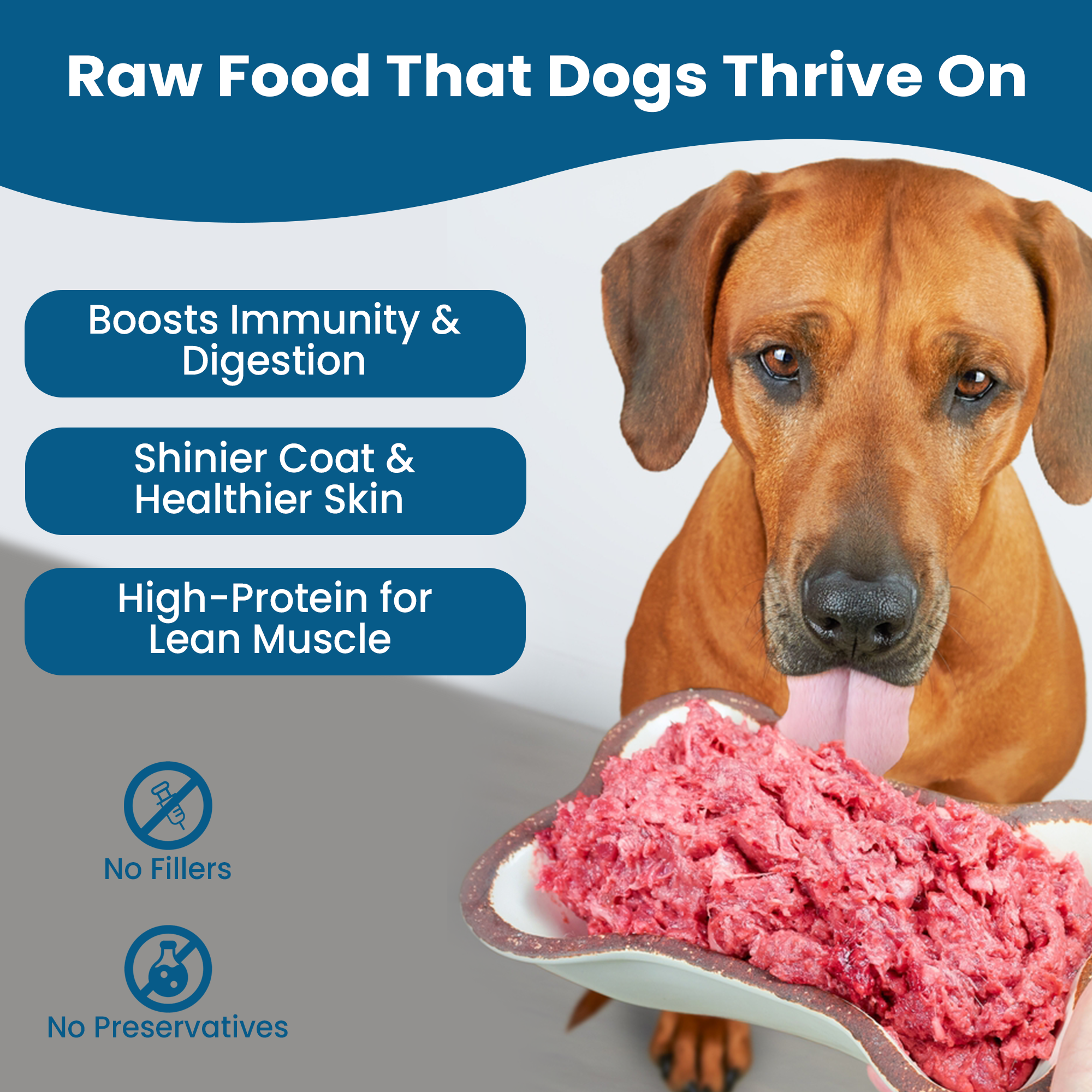 BARF Raw Dog Food Frozen Mix Box x 42 500g Chicken/Chicken & Tripe/Chicken & Offal 21kg - Pet Family