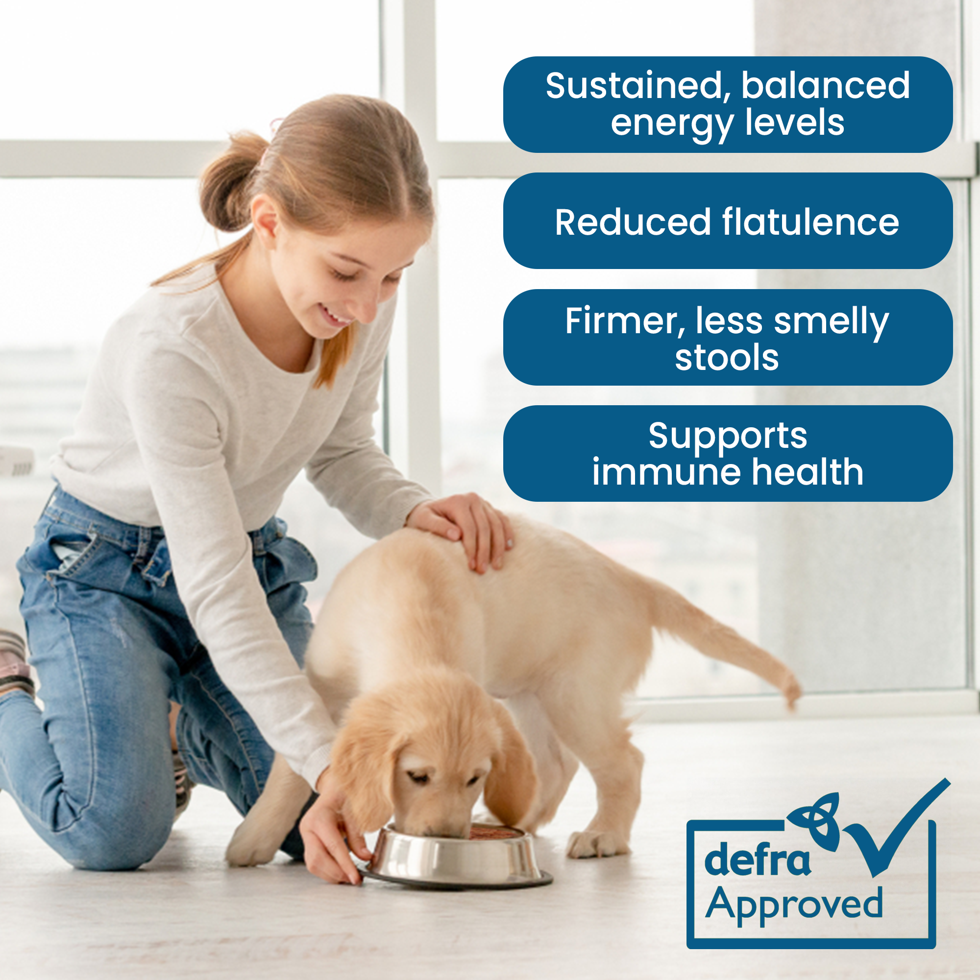 BARF Raw Dog Food Frozen Mix Box x 42 500g Chicken/Chicken & Tripe/Chicken & Offal 21kg - Pet Family