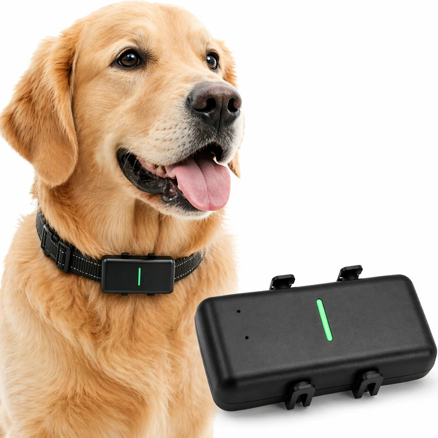 Pet Tracker Pro GPS Real time Tracking - Pet Family