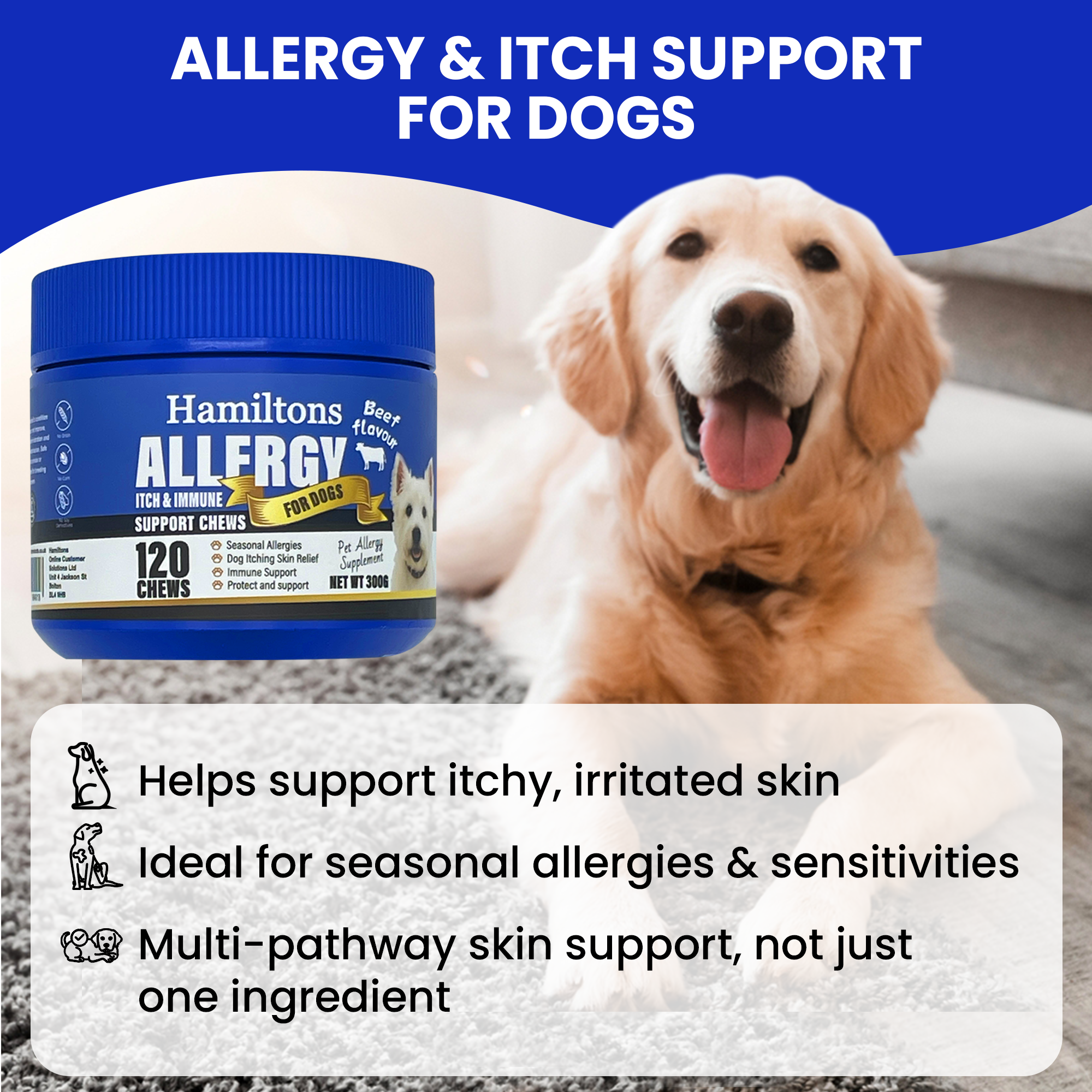 Hamiltons Allergy & Itch Chews for Dogs – Immune Support Soft Chews with Probiotics 120 Beef Flavour Chews - Pet Family