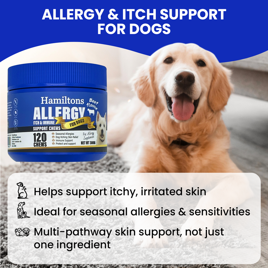 Hamiltons Allergy & Itch Chews for Dogs – Immune Support Soft Chews with Probiotics 120 Beef Flavour Chews - Pet Family