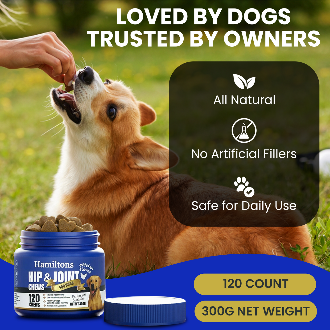 Hamilton’s Hip & Joint Supplement for Dogs – 120 Chicken Flavour Chews