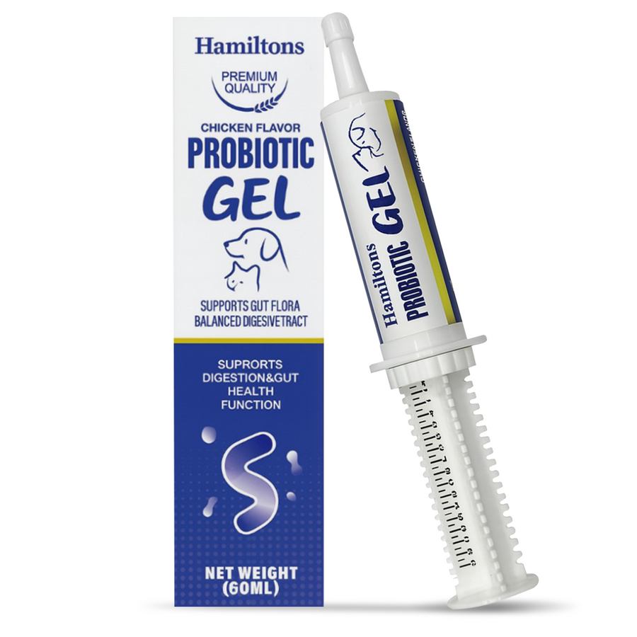 Hamiltons Probiotic Paste Gel for Dogs and Cats Chicken Flavour 60ml - Gut Health Digestive Supplement