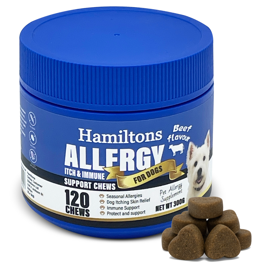 Hamiltons Allergy & Itch Chews for Dogs – Immune Support Soft Chews with Probiotics 120 Beef Flavour Chews - Pet Family