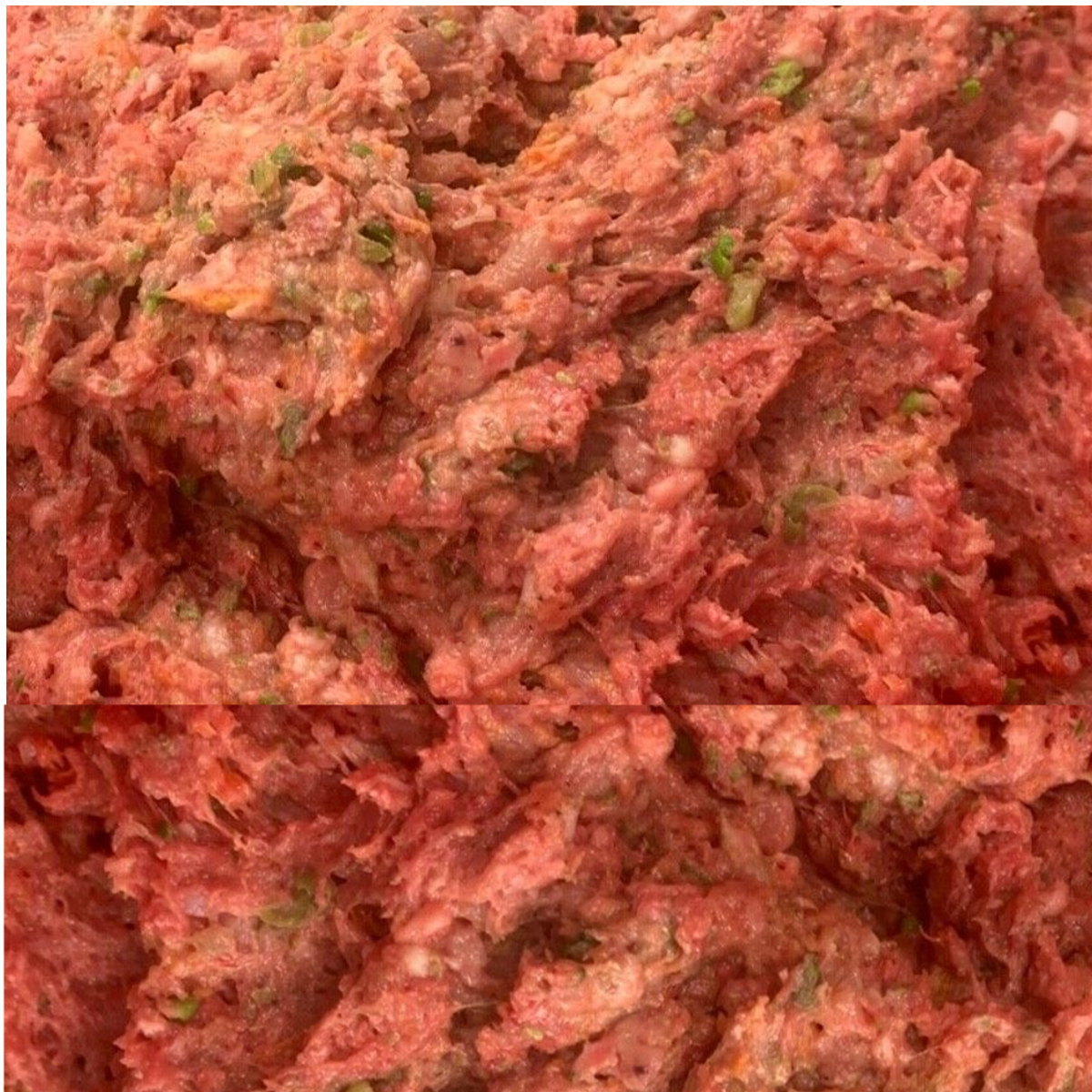 BARF Raw Dog Food Chicken and Veg Mince Complete Meal Frozen close up